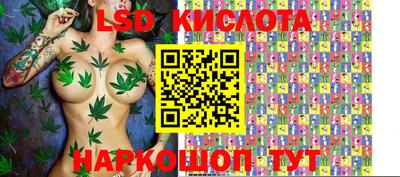 гидра Гусев