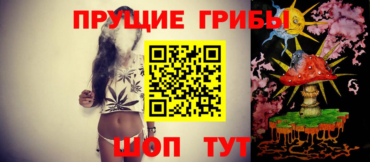 Галлюциногенные грибы Psilocybe  Вход с VPN  где купить наркоту  Новодвинск 