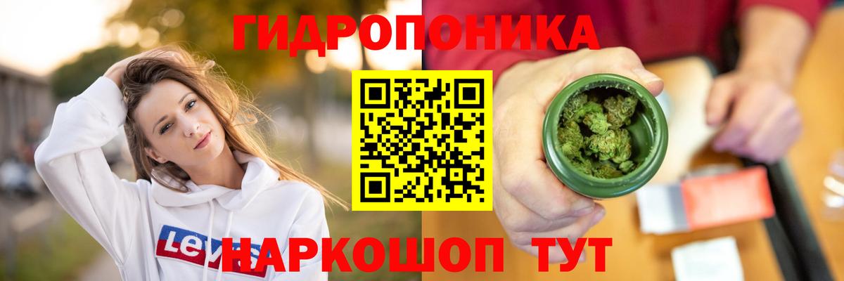 Бошки марихуана конопля Новодвинск